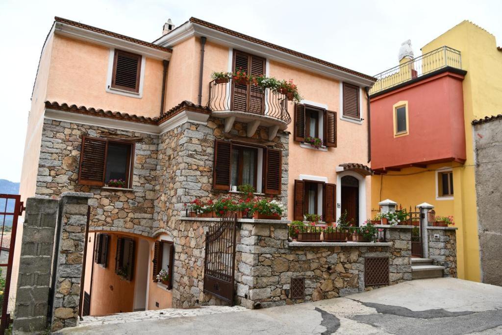 B&b Peonia orgosolo Zewnętrze zdjęcie